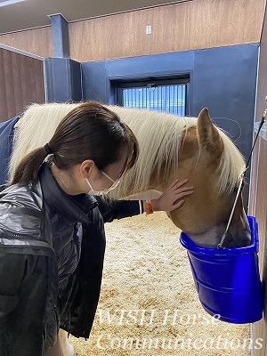 全日本馬場馬術大会