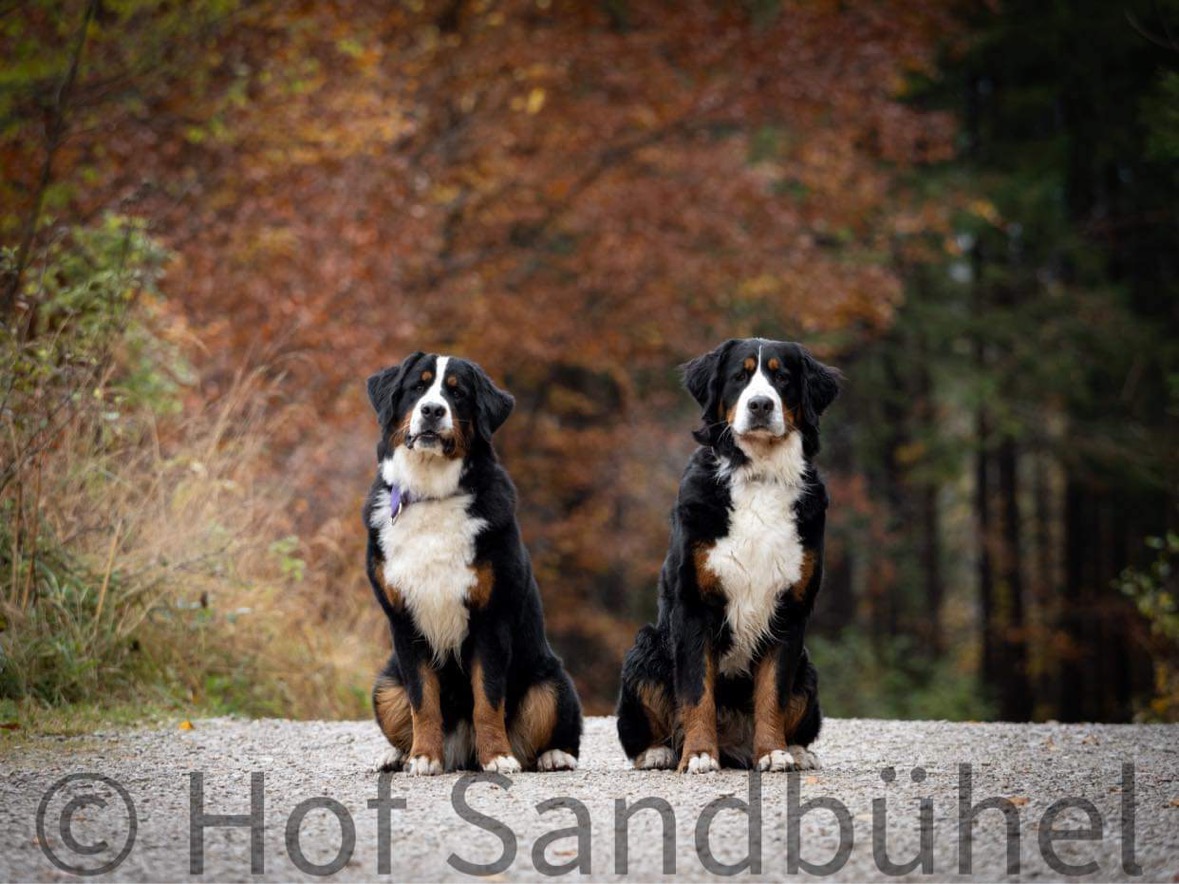 VSSÖ Herbstwanderung Langbathseen