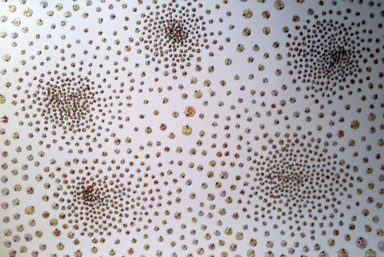 "Sub-paisaje 1" - Técnica mixta sobre pancacoa - 80 cm x 60 cm