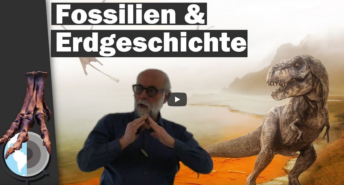 Fossilien & Erdgeschichte
