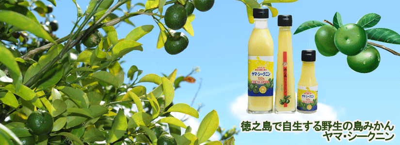 企業 ダイキチ食品株式会社 奄美群島の企業 店舗と特産品 工芸品を紹介します