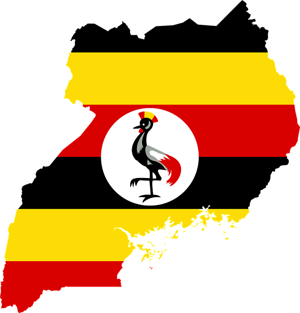 Queere Nothilfe Uganda und LSVD fordern Unterstützung für queere Communitys und Aktivist*innen nach Verfassungsgerichtsurteil