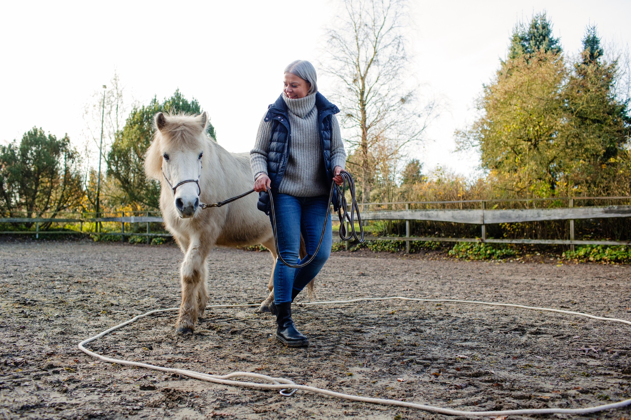 Horse Assisted Coach Ausbildung Hamburg