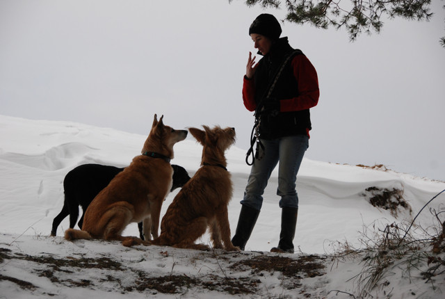 Rockie, Dizzy und Annûn im Piemonte 2008