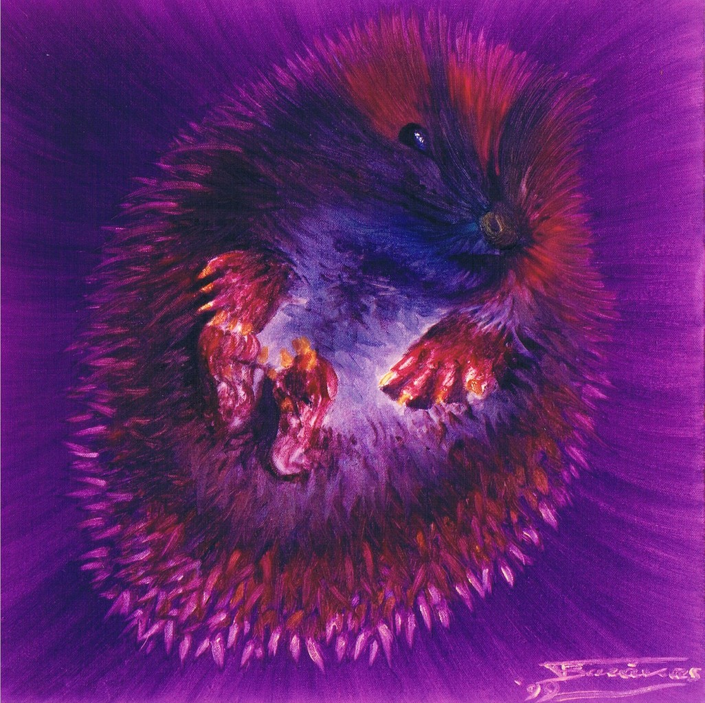 "Porcupine" (40x40)cm, Huile sur toile (1999)