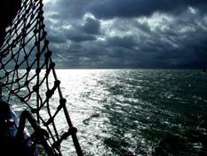 Foto: © Rasmus Fach/ PIXELIO Der Beste "Fang-Grund"? - Nicht mehr allein durchs Leben zu segeln