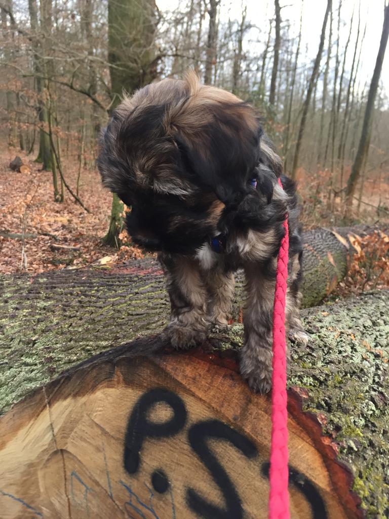 Alles interessant