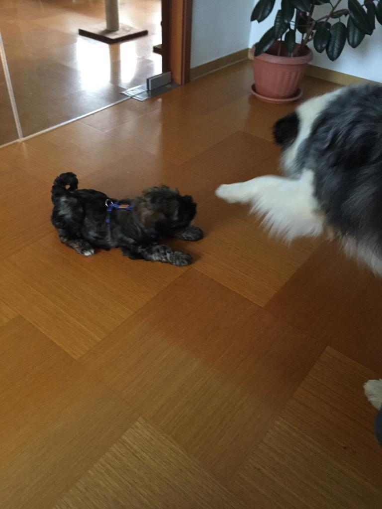 toller großer Freund :-)