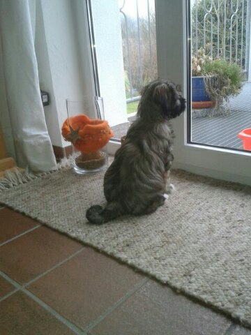 boa, das ist jetzt alles mir :-)