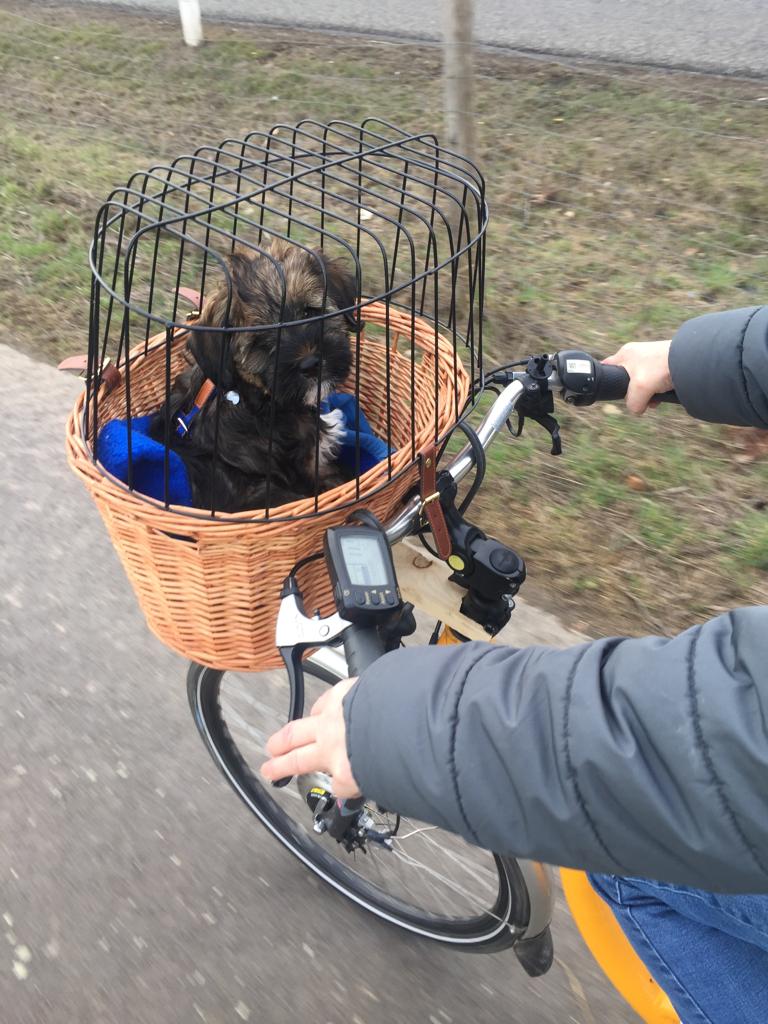 Emil fährt sogar schon Fahrrad, bravo !!!