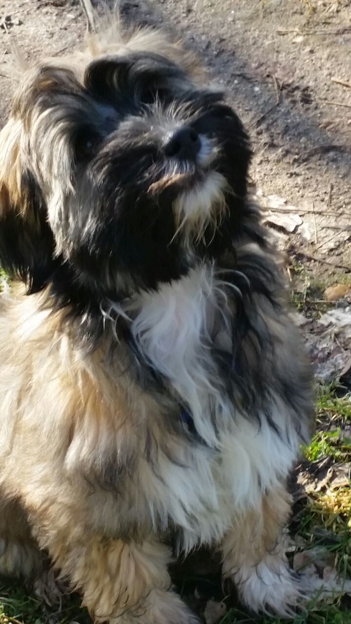 ein toller Bub