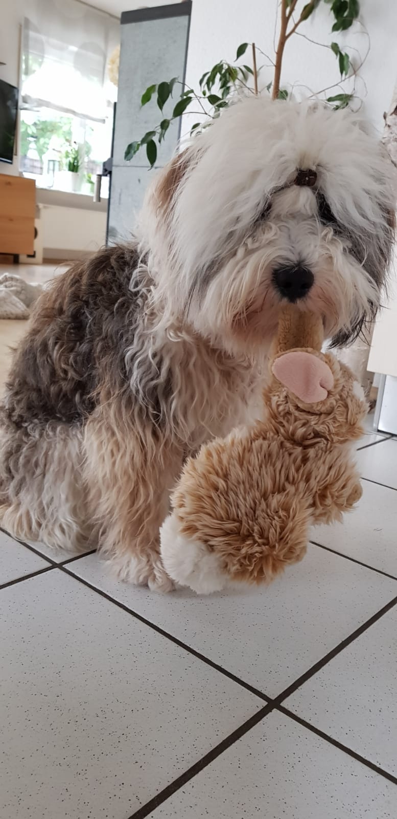 toller Bruder und Gastgeber, auch an Herrchen und Frauchens