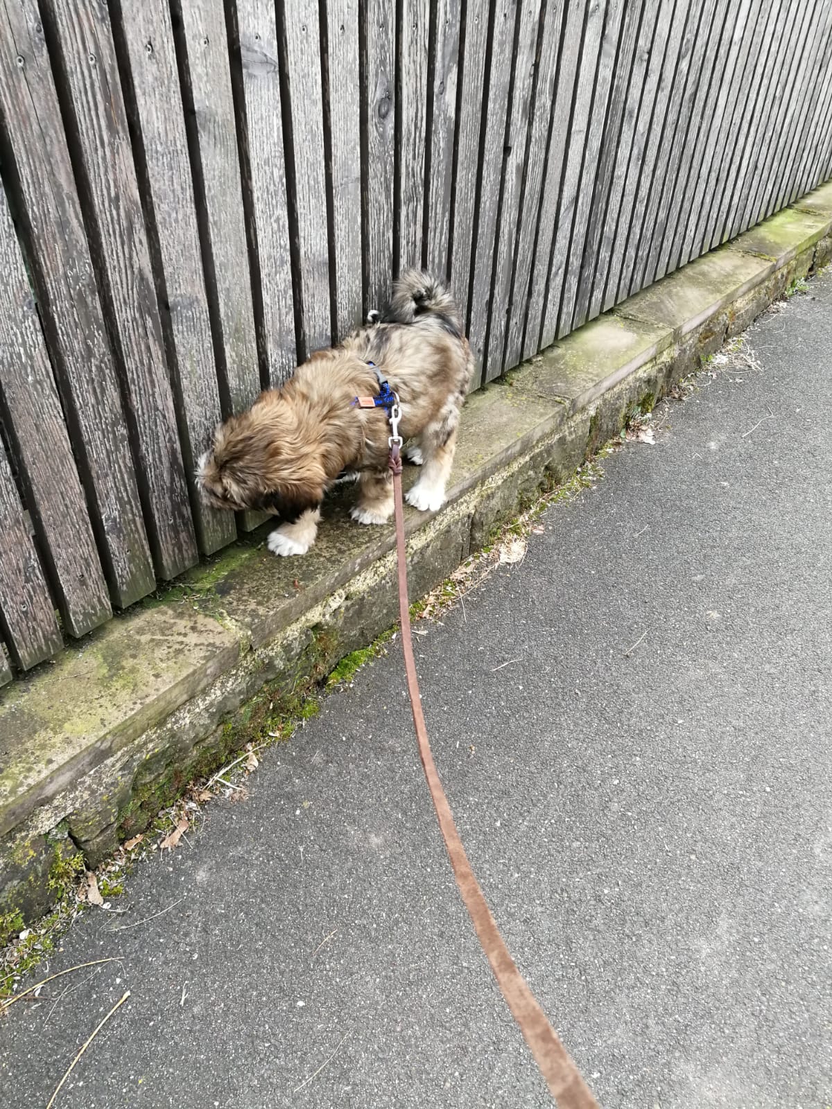 erster Spaziergang