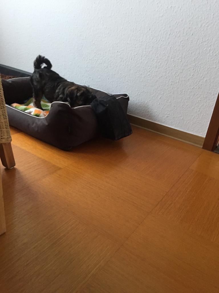 er bringt sein Pflegeset schon in Sicherheit, lach...