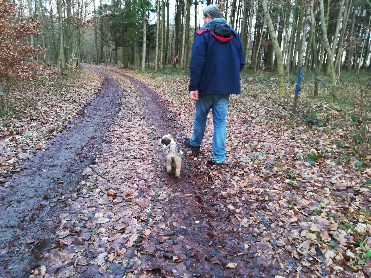 sie hat das Wildschweingen von Tosca geerbt, lach