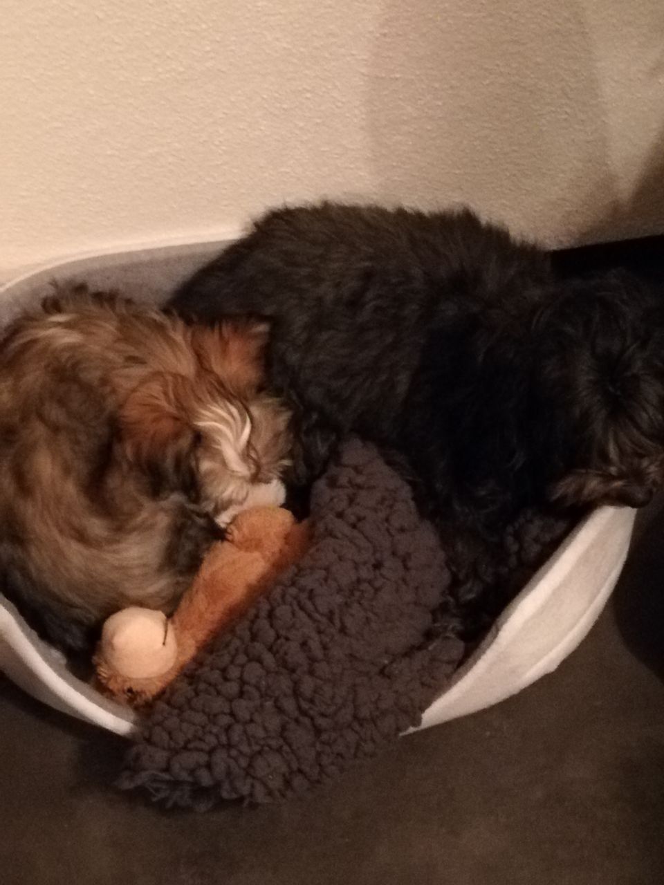 zusammen lässt sich besser schlafen
