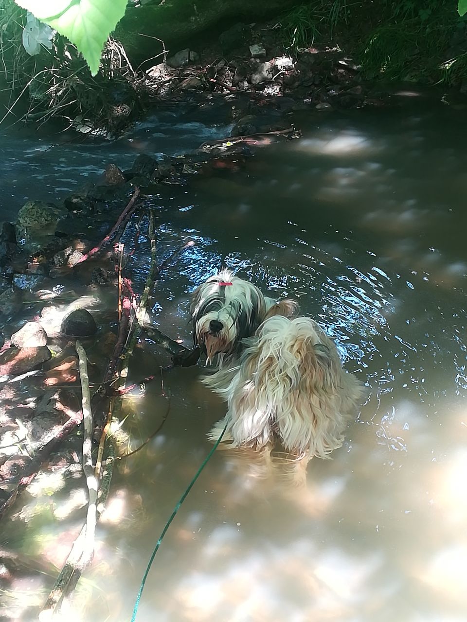 sie liebt Wasser, wie die Mama!