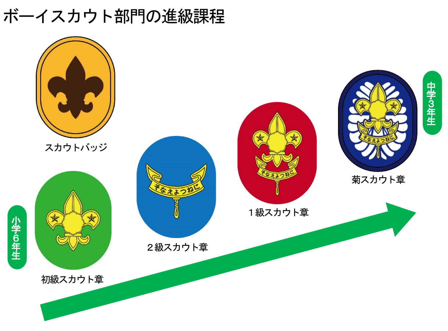 BS・VS進級課程の変更 - 日本ボーイスカウト神奈川連盟