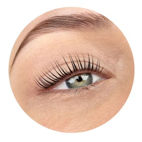 corso laminazione ciglia ike protocol