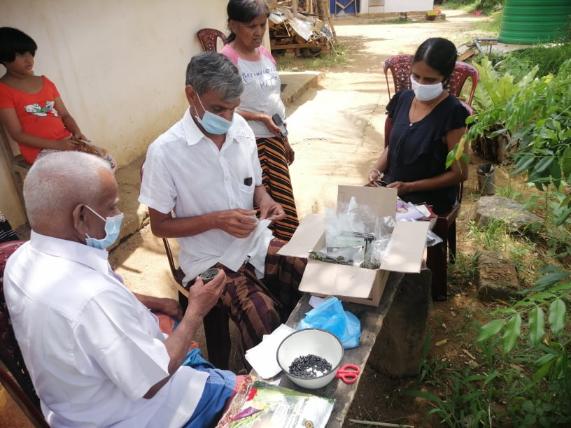 distribution of vegetable seeds