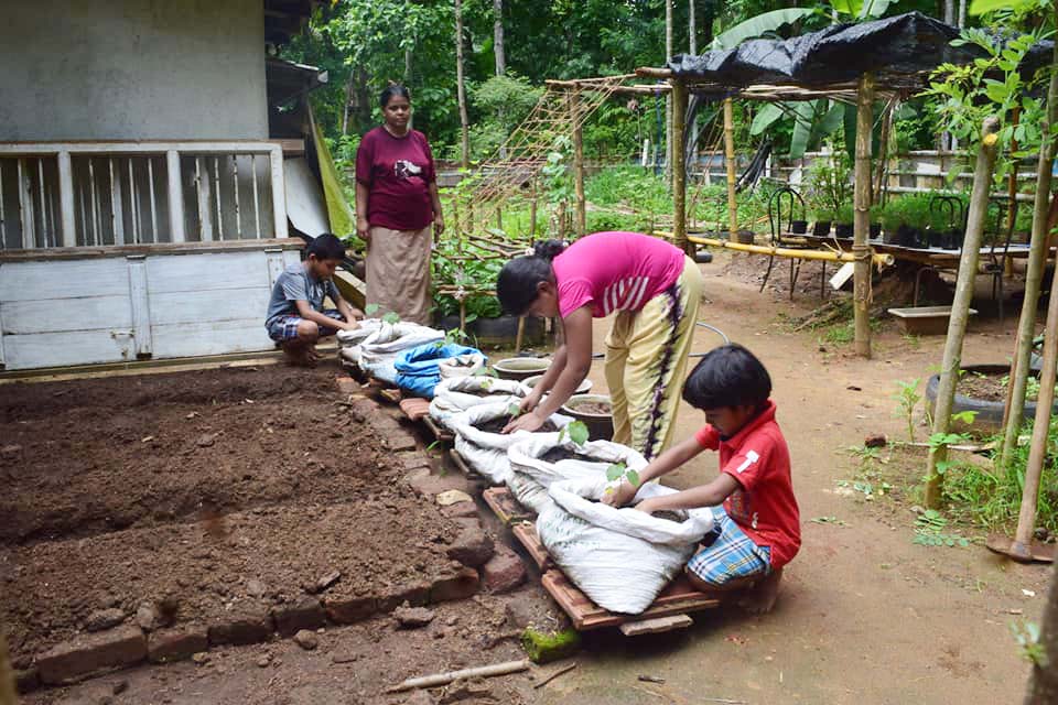 Children growing vegetables in their home garden