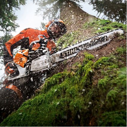 Stihl MS 500i Kettensäge im Wald aam Baum sägen