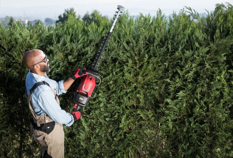 Honda Akku Heckenschere HHH 36 AXB im Einsatz