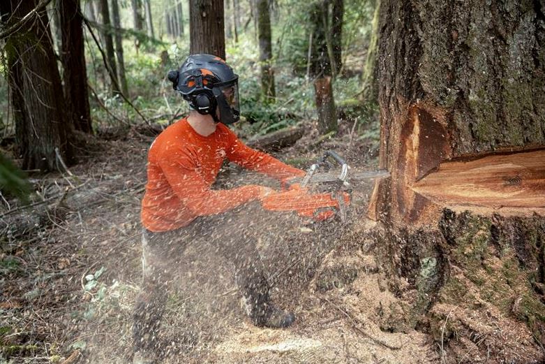 Husqvarna Kettensäge 585