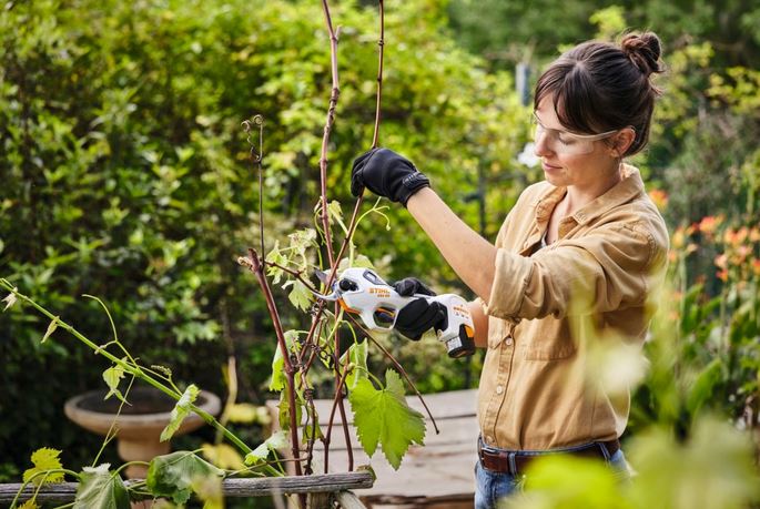 Stihl Akku  Astschere beim einsatz