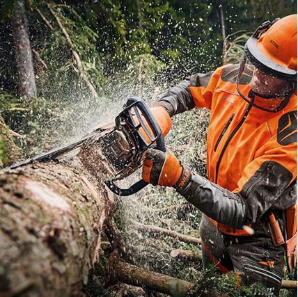 Stihl MS 462 C-M Kettensäge im Wald am Baum sägen