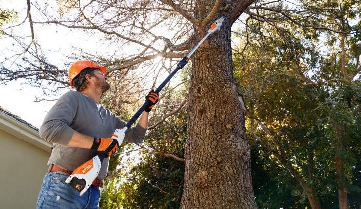 Stihl Hochentaster HTA 50 im Einsatz