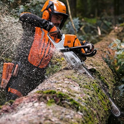 Stihl MS 500i Kettensäge im Wald am Baum Sägen