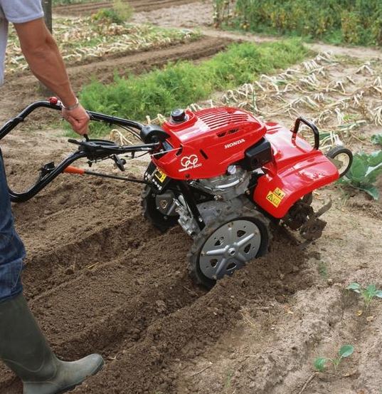 Honda Gartenhacker FF 500 im Garten am Hacken