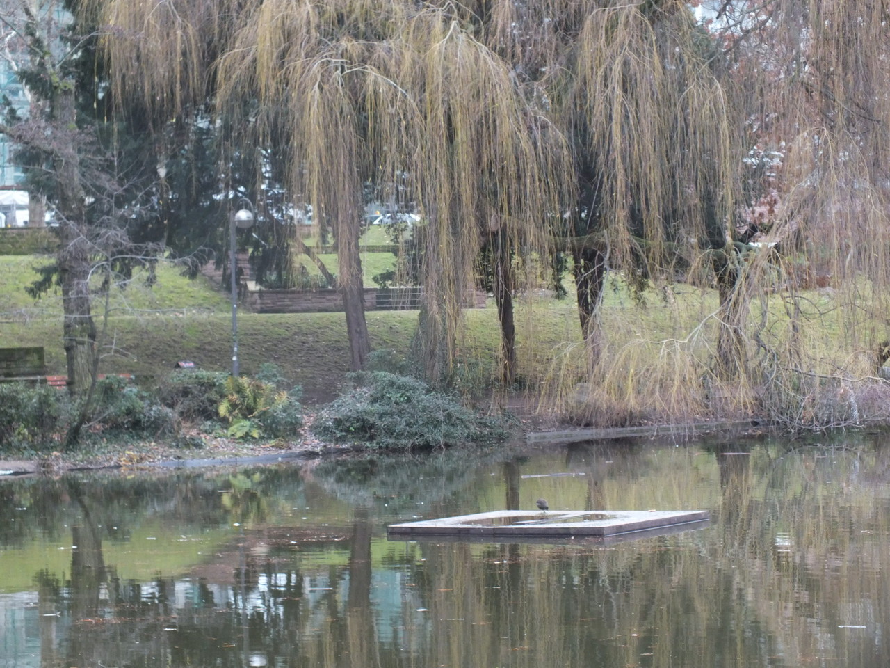 Weiher an der Bockenheimer