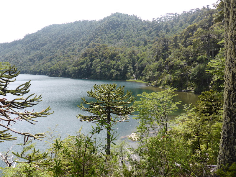 Parque Nacional Huerquehue