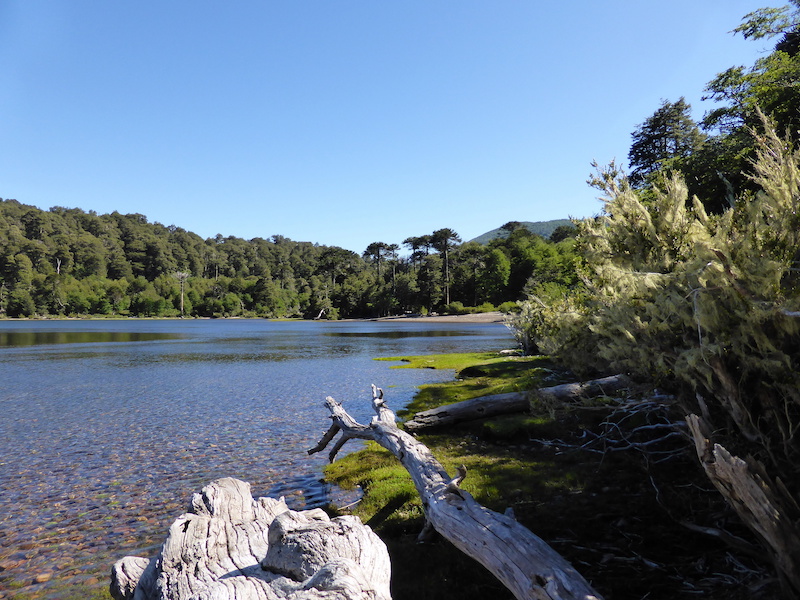 Laguna Hualalafquen