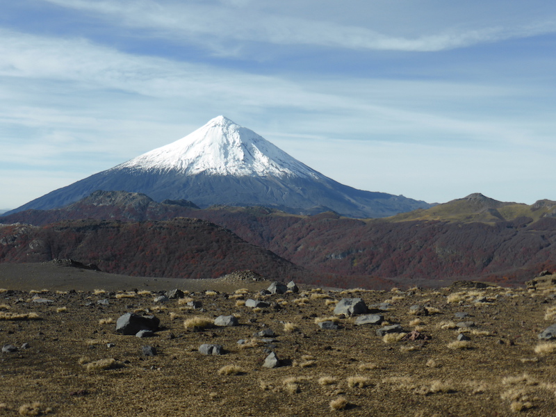 Mirador Lanin