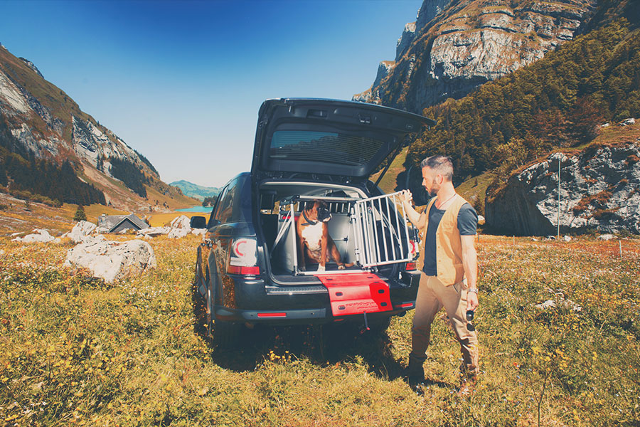 Zubeh r f r den Hundetransport. Jetzt online kaufen. 4pets
