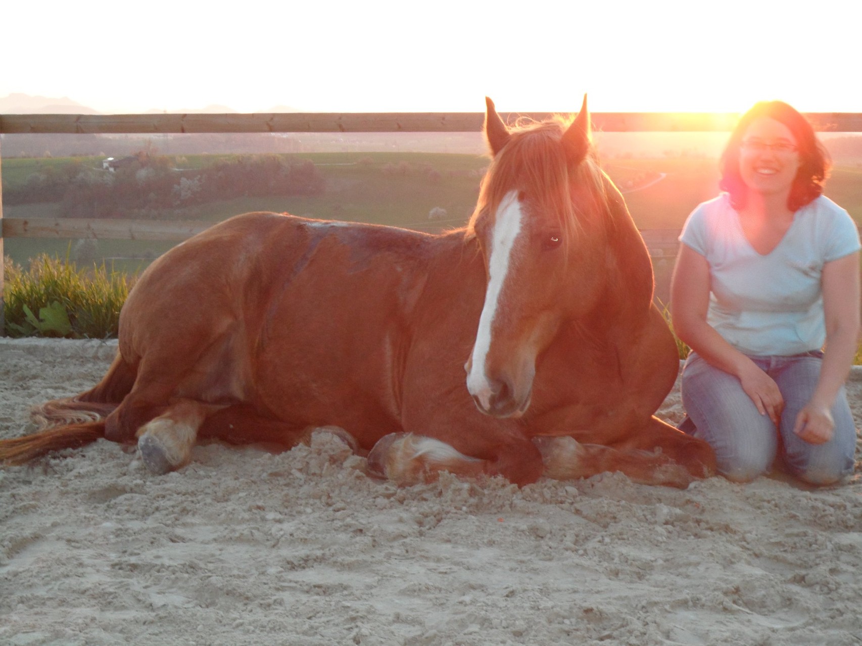 Unsere geliebten Pferde und Hunde livingranchs JimdoPage!