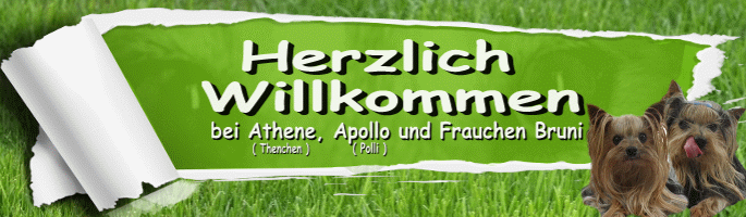 zensis-seites Webseite!