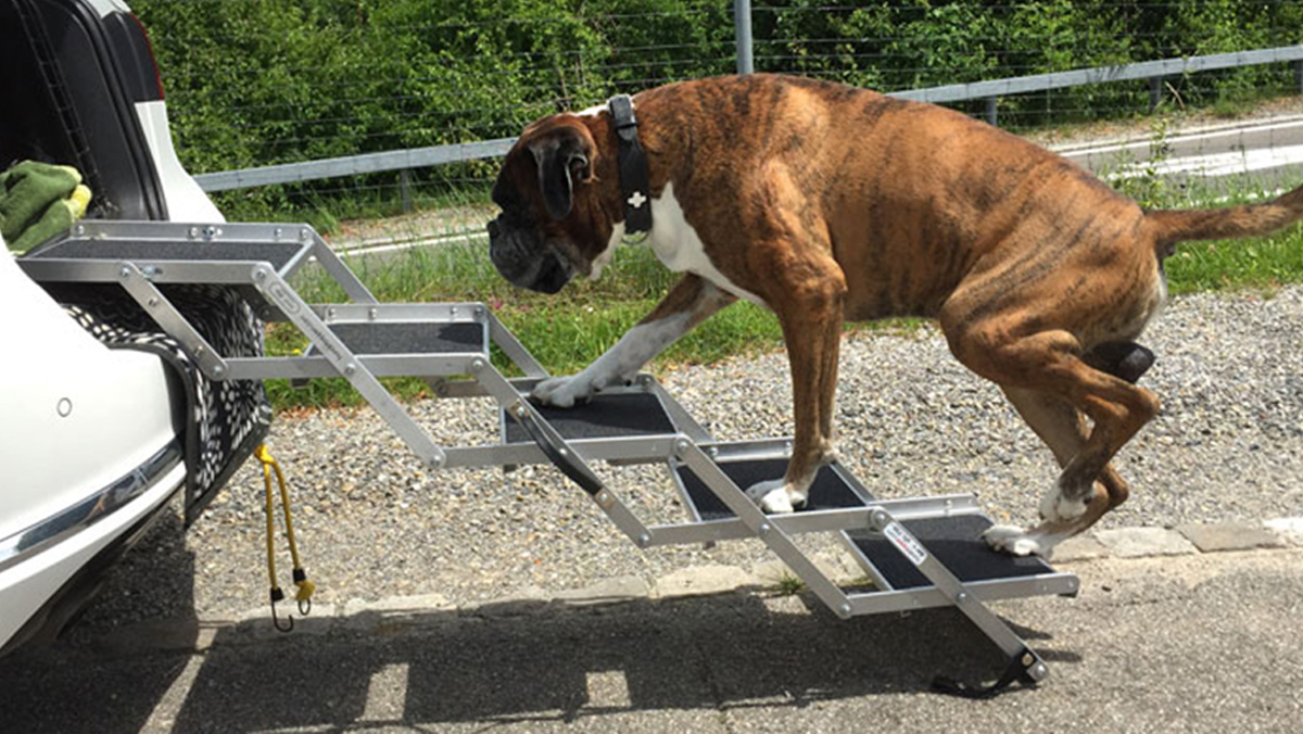 Einstiegshilfe Hund Seitentur
