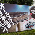 社長と一緒に野球観戦（もちろん希望者でね）
