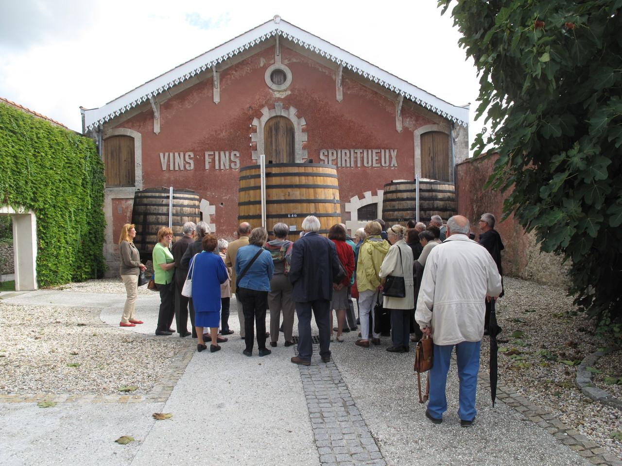 Lillet : bâtiments anciens et foudres. 