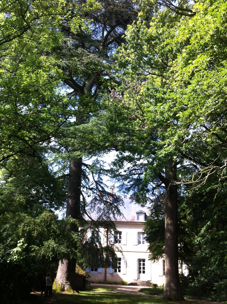 Nohant, maison de Georges Sand : les 2 cèdres plantés par Georges Sand pour la naissance des enfants