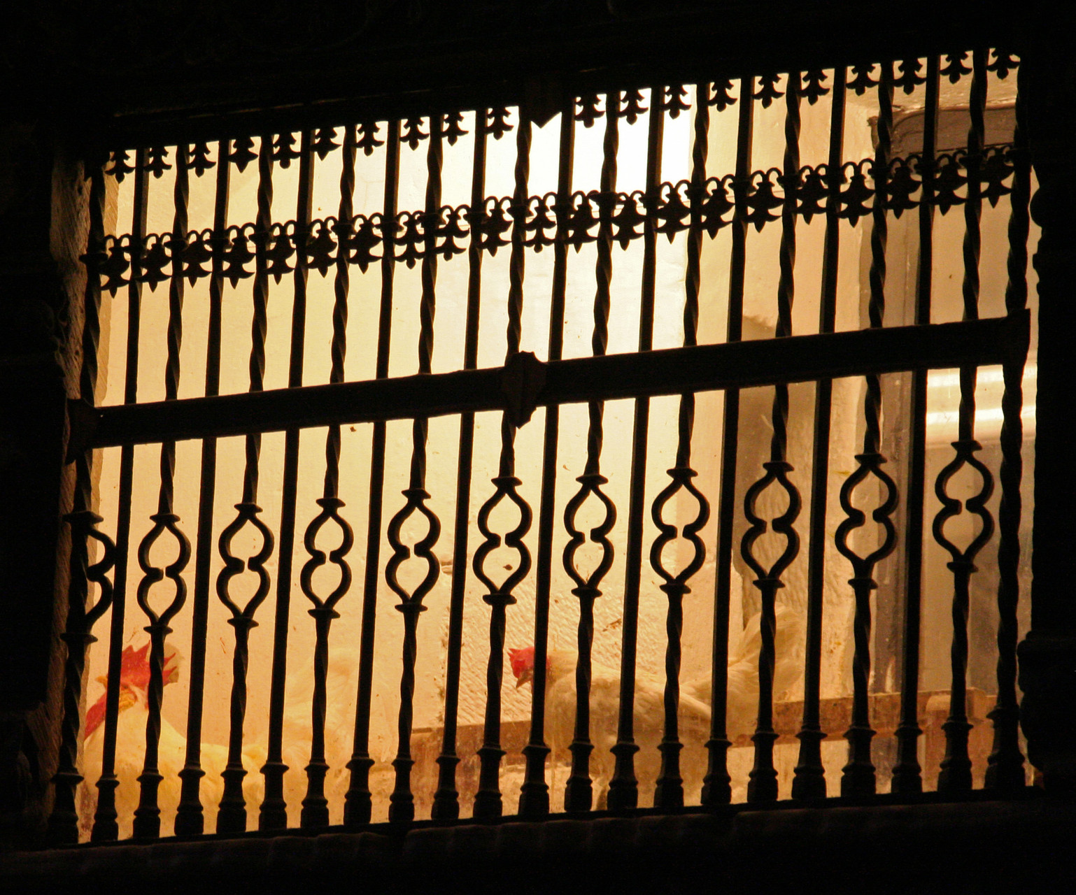 Santo Domingo de la Calzada: les poules... (miracle de Santo Domingo)