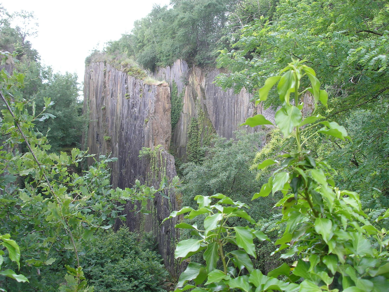 Pans de Travassac : vue générale