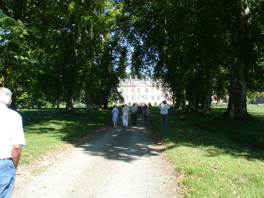 Amou : l'allée de platanes du château