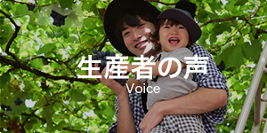 生産者の声