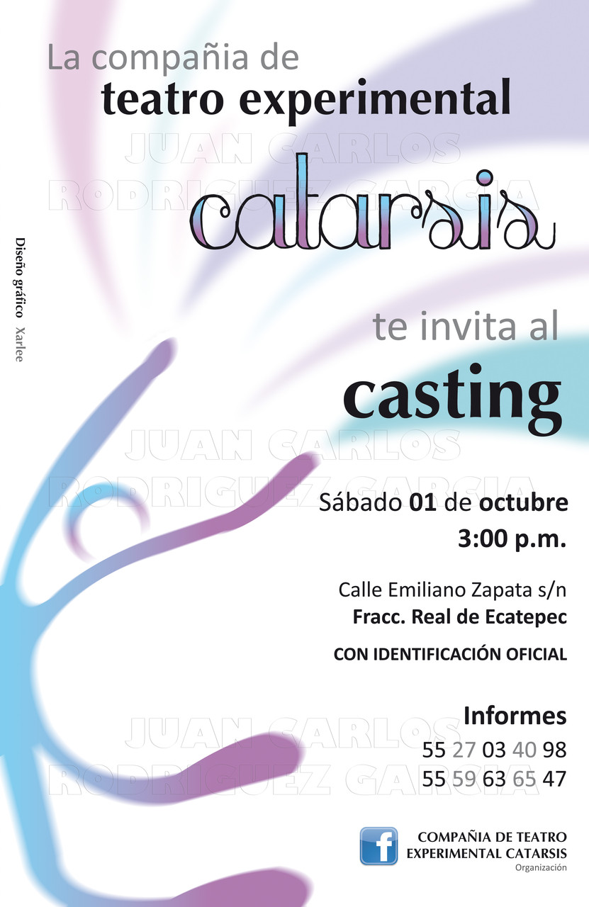 Aplicación del imagotipo en cartel para promoción de casting (2011).