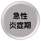 急性炎症期